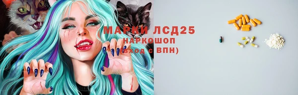 молекула духа Курчалой