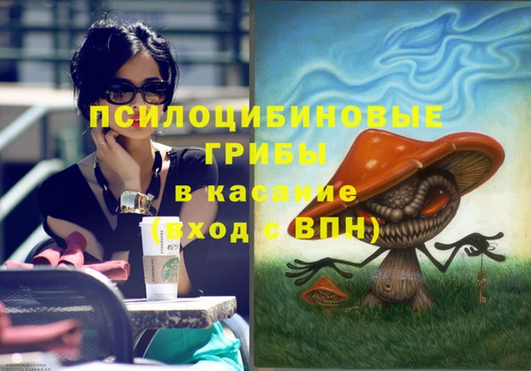 гашиш Ельня