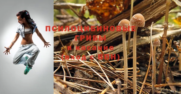 гидропоника Елизово