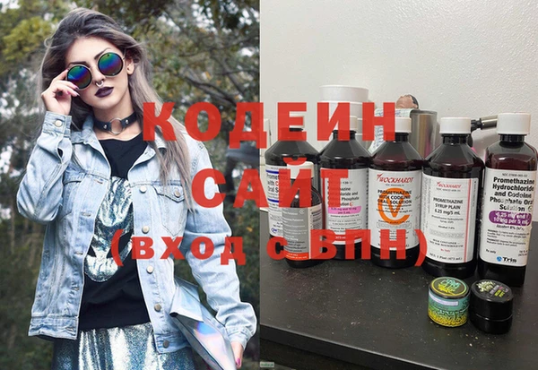 дживик Няндома