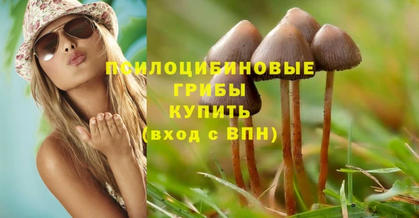 круглые Осинники