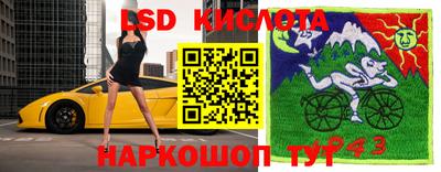 ПСИЛОЦИБИНОВЫЕ ГРИБЫ Гусь-Хрустальный