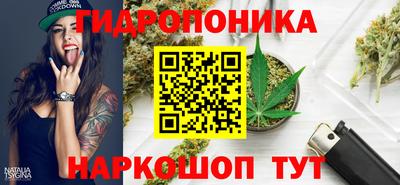 ПСИЛОЦИБИНОВЫЕ ГРИБЫ Гусь-Хрустальный