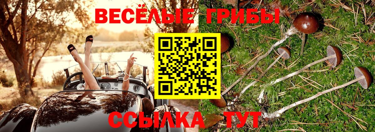 Галлюциногенные грибы Psilocybine cubensis Похвистнево