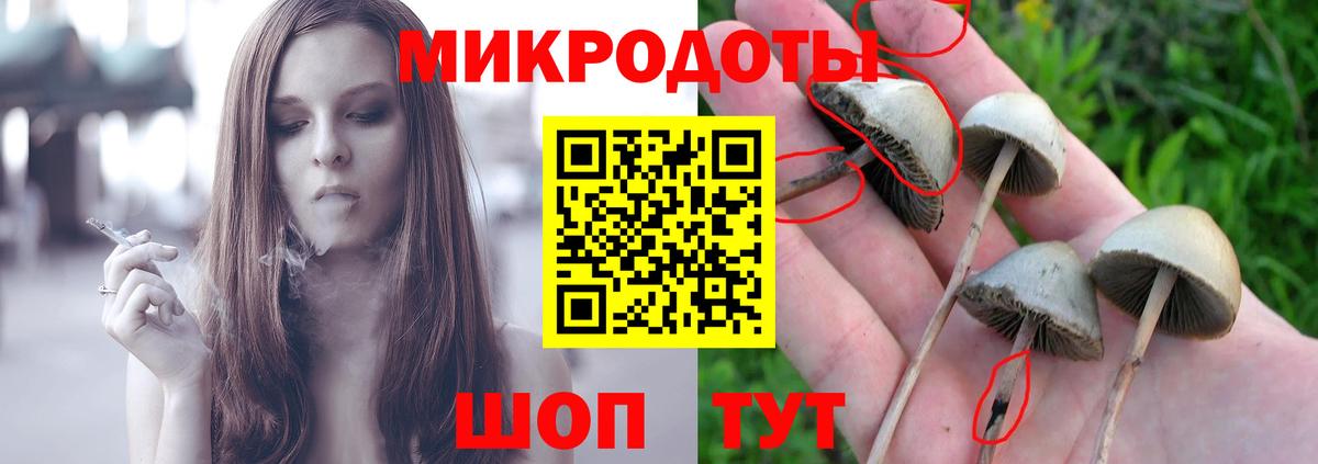 Похвистнево  Псилоцибиновые грибы Psilocybe  Галлюциногенные грибы мухоморы  Вход с VPN 
